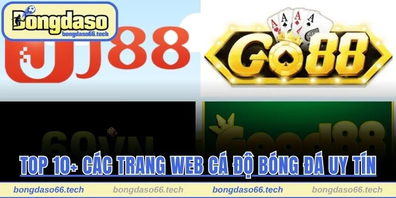top 10+ các trang web cá độ bóng đá uy tín