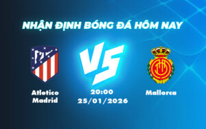 atletico madrid mallorca 25 01 la liga