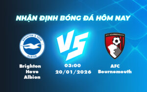 brighton hove albion afc bournemouth 20 01 ngoai hang anh