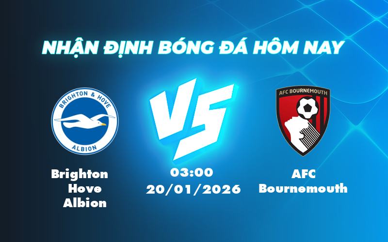 brighton hove albion afc bournemouth 20 01 ngoai hang anh