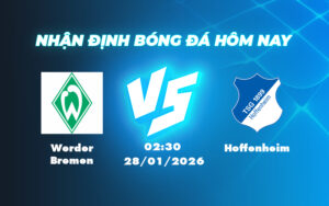 werder bremen hoffenheim 28 01 bundesliga